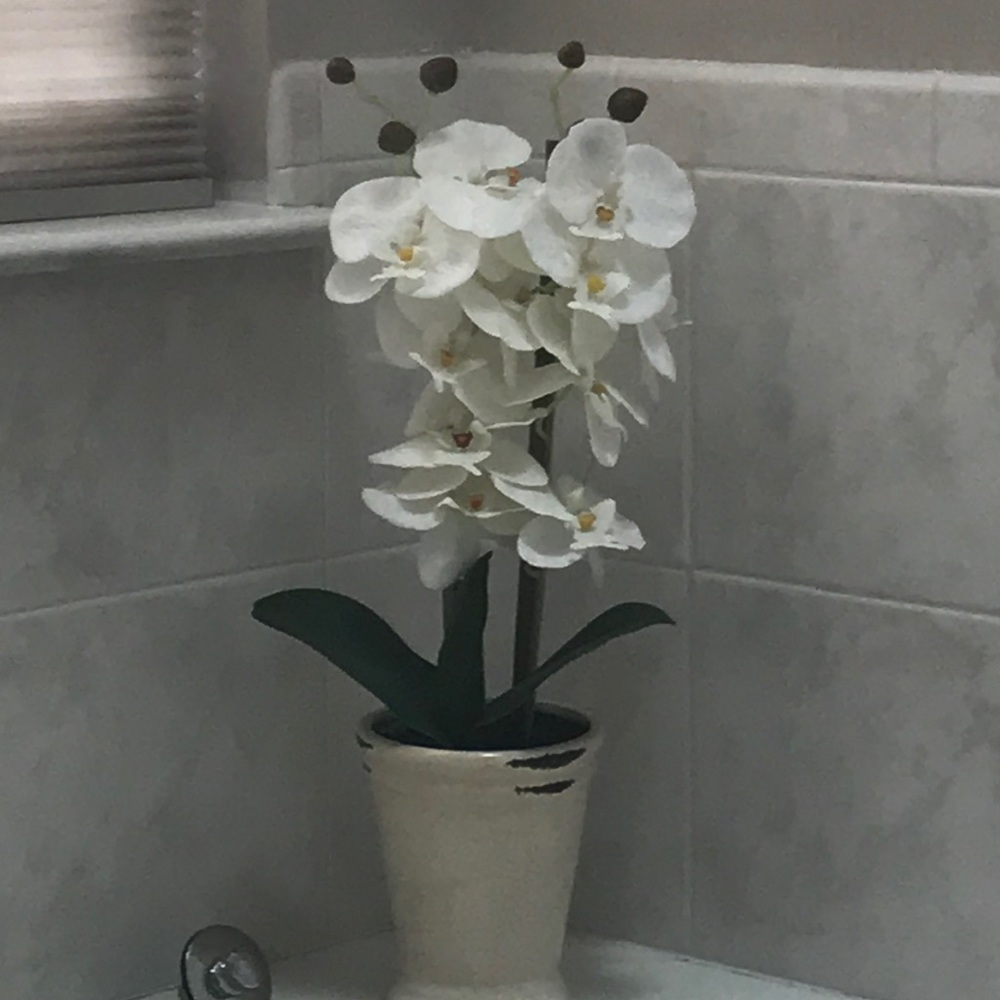 Meet your Posher, Jeannette